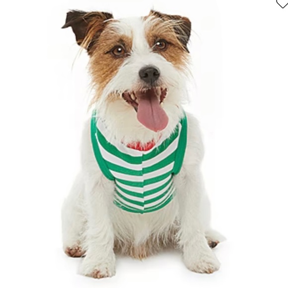 Secret Santa Holiday Elf Dog Pajama - Picture 3 of 5